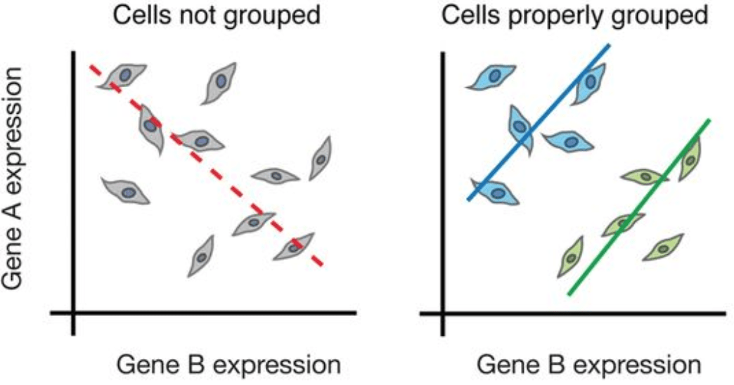 scRNA-seq%E7%AE%80%E4%BB%8B-HBC%20lesson%201%2067c78d1ea59d4cfeb9df4d9133ba9589/Untitled%202.png