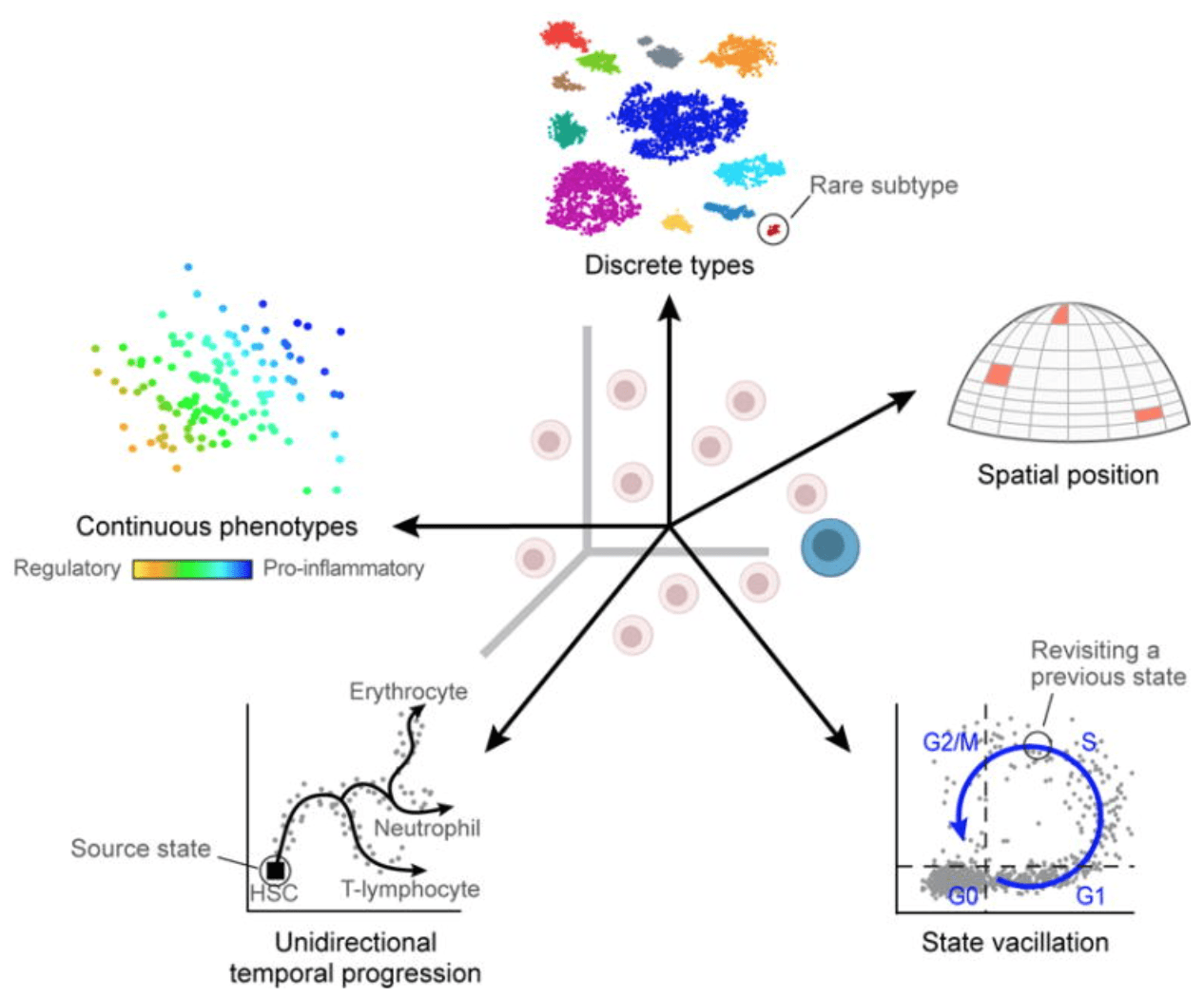 scRNA-seq%E7%AE%80%E4%BB%8B-HBC%20lesson%201%2067c78d1ea59d4cfeb9df4d9133ba9589/Untitled%203.png
