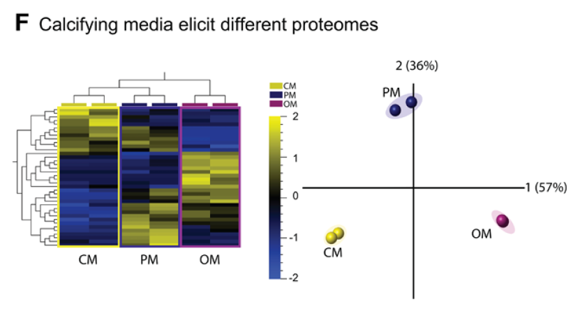 Spatiotemporal%20Multi-Omics%20Mapping%20Generates%20a%20Mol%206252042e00de408ba75fcd3a8677da57/Untitled%2024.png