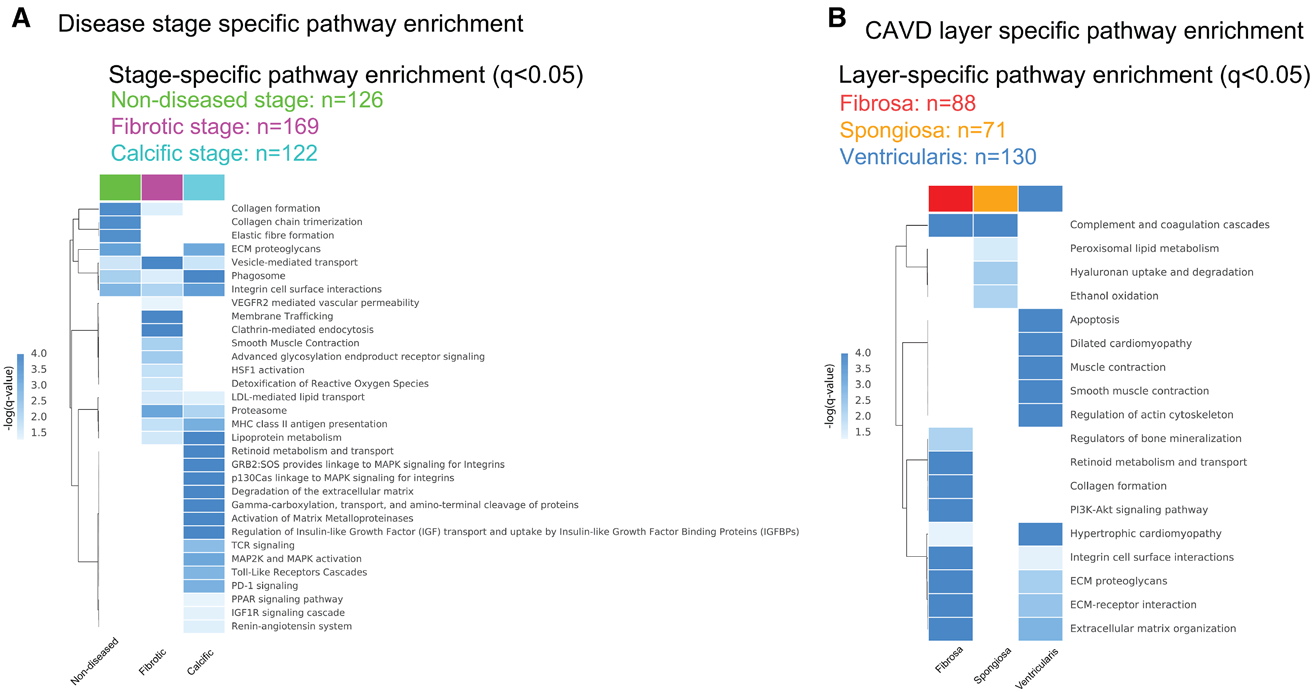 Spatiotemporal%20Multi-Omics%20Mapping%20Generates%20a%20Mol%206252042e00de408ba75fcd3a8677da57/Untitled%2013.png