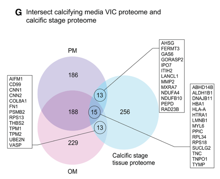 Spatiotemporal%20Multi-Omics%20Mapping%20Generates%20a%20Mol%206252042e00de408ba75fcd3a8677da57/Untitled%2025.png