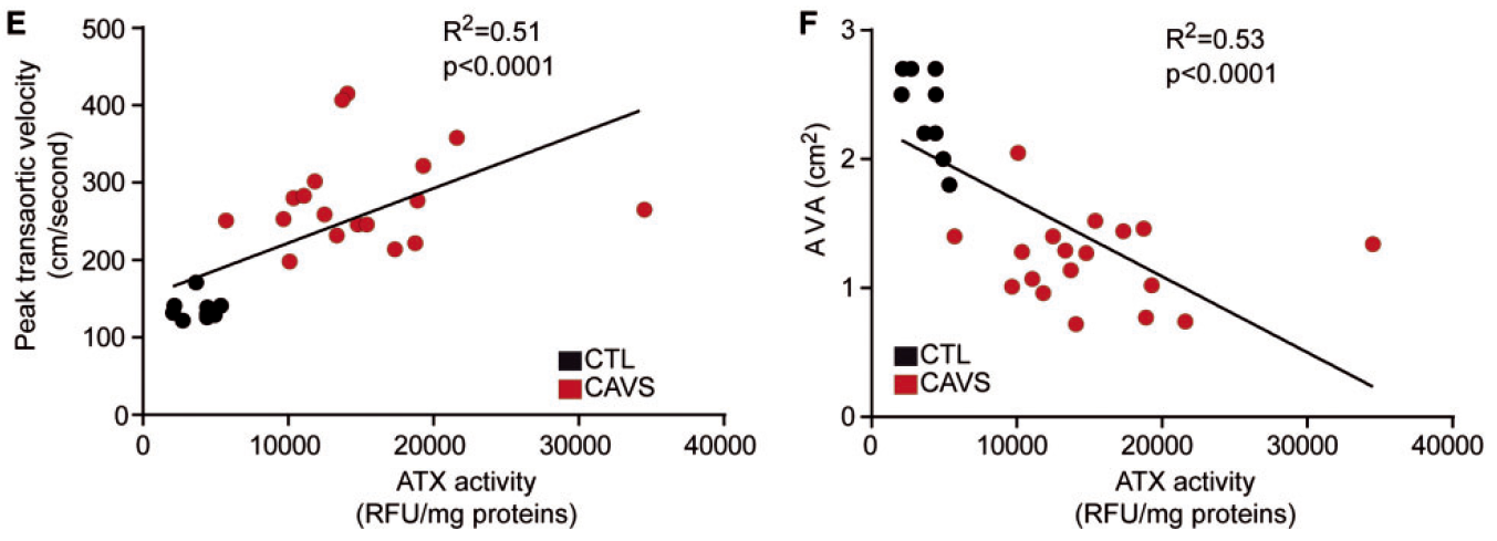 Activated%20platelets%20promote%20an%20osteogenic%20programm%20255b6a1b03bc4734b13a4e94a7841018/Untitled%2025.png
