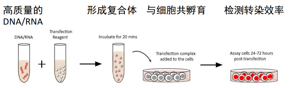 image-20210619174330512