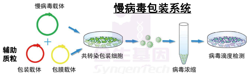 image-20210619174517569