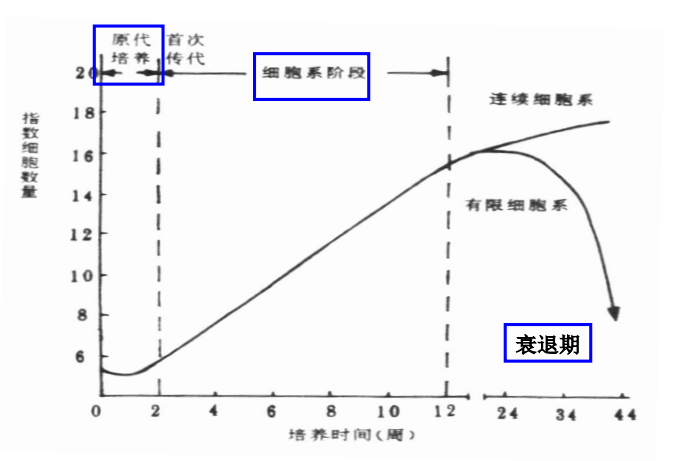 image-20210619180702688
