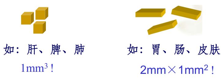 image-20210619214221128