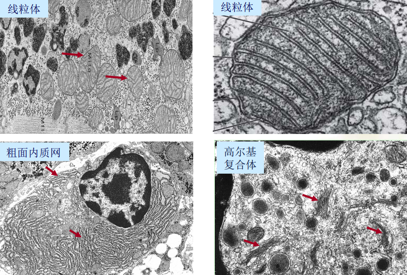 image-20210619215659554