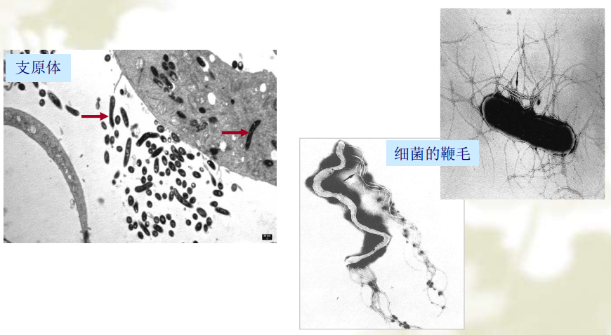 image-20210619215749423