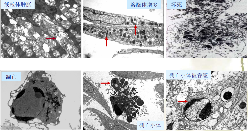 image-20210619215824641