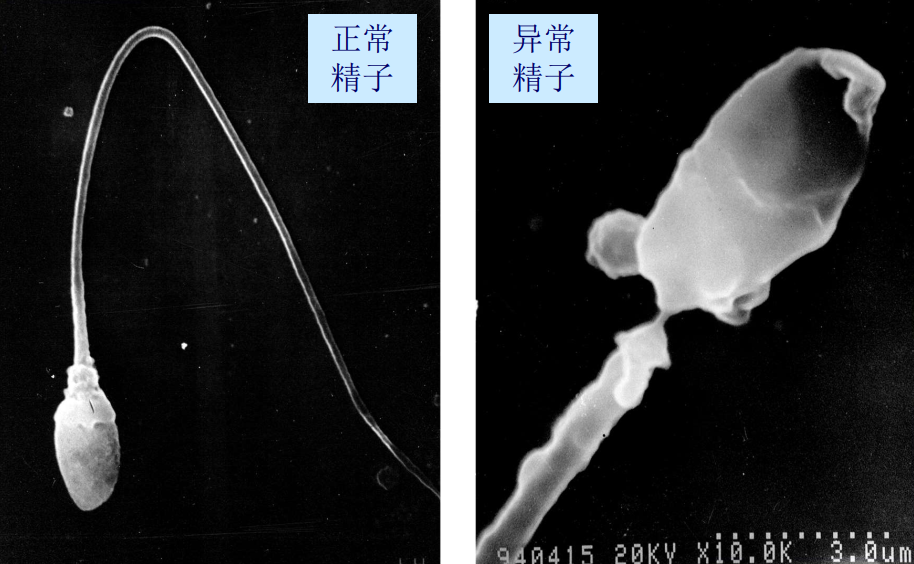 image-20210619220635816