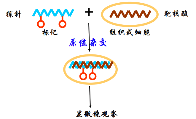 image-20210619224935058