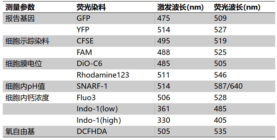 其他荧光探针/蛋白
