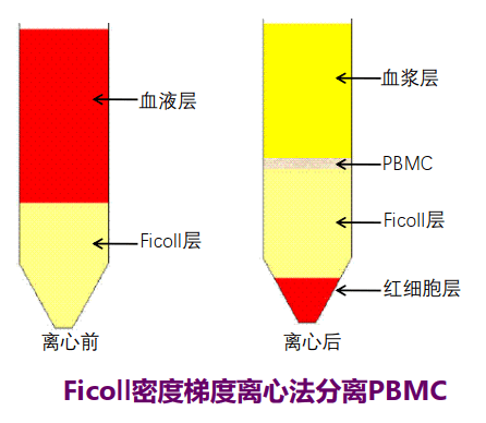 image-20210620002231243