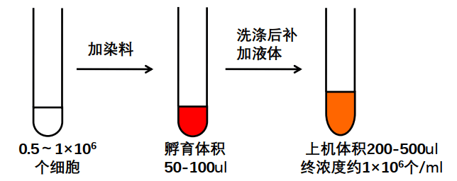 image-20210620003428976
