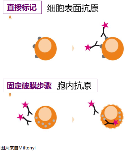 image-20210620003711193